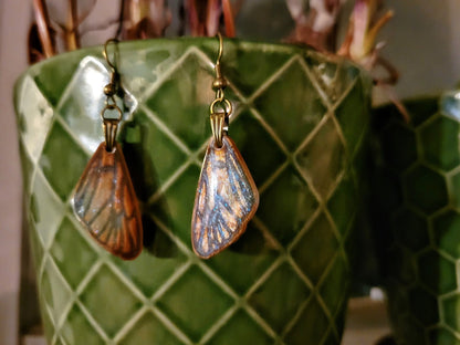 Butterfly Wing Iridescent Earrings